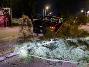 ¡DAMAS TERMINAN LA PACHANGA CHOCANDO CON DOS ÁRBOLES!