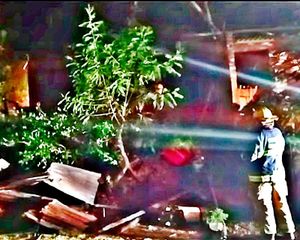 ¡FAMILIA PIERDE SU CASA POR INCENDIO!