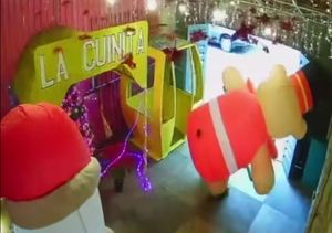 ¡OSO SE FUE VOLANDO!