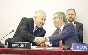 ¡APELARÁN EN AL A DERECHO INTERNACIONAL POR DEPORTACIONES!