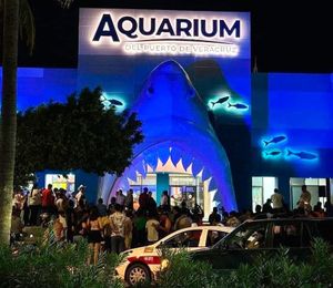 ¡SE PIERDE NIÑO AUTISTA EN EL AQUARIUM!