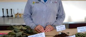 ¡CON PÓCIMA QUIEREN COMBATIR EL DENGUE! - *Falta de jornadas de fumigación