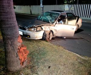¡SE IMPACTÓ CONTRA PALMERA FRENTE A PLAZA MOCAMBO!