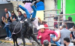 ¡SUELTAN LOS TOROS! - A CORRER