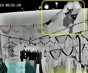 ¡GRABAN A ‘RATA’ ROBANDO LOS “CHONES” A VECINAS!