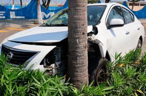 ¡SE LE ATRAVIESA CAFRE Y CHOCÓ CONTRA PALMERA!
