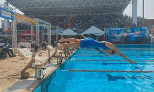 ¡GRAN FIESTA DE NATACION! - RUMBATA DE CARNAVAL