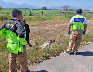 ¡DON PAYITA PERDIÓ LA VIDA ARROLLADO EN LA AUTOPISTA!