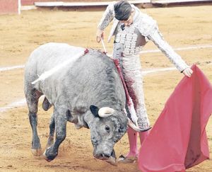 ¡QUITAN FRENO A VOTACIÓN DE PROHIBICIÓN DE TAUROMAQUIA!