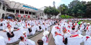 ¡YA TIENEN 50 AÑOS!