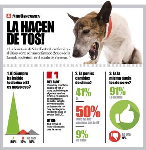 LA ENCUESTA | - LA HACEN DE TOS!