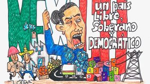 LOS CARTONES