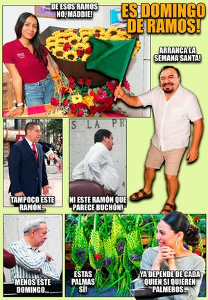 NOTI-MEME | - ES DOMINGO!