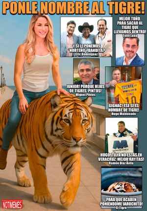 NOTI-MEME | - PONLE NOMBRE AL TIGRE!