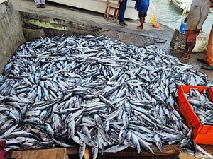 ¡BAJA EL PESCADO!
