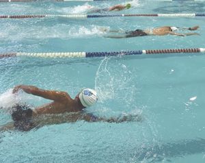 ¡INVITAN A ESCUELA DE NATACIÓN TIBURONES BLANCOS!