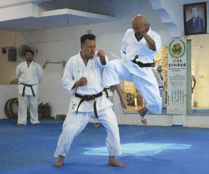 ¡ALISTAN SEMINARIO DE PRIMAVERA DE KARATE 2025!