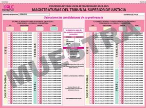 ¡BOLETAS-GATE! - LO QUE FALTABA