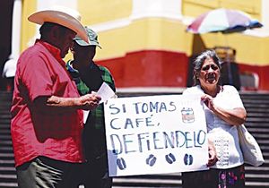 ¡TRANSNACIONALES QUIEREN QUE LOS PRODUCTORES DE CAFÉ PAGUEN COSTO DE ARANCELES EN EU!