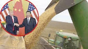 ¡CHINA EXPLICA CUÁL SERÍA LA SITUACIÓN SIN IMPORTACIONES AGRÍCOLAS Y DE ENERGÍA DE EU!