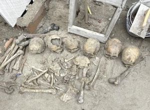 ¡HALLAN 12 CRÁNEOS Y RESTOS OSEOS DE ANIMALES; SOSPECHAN DE RITUAL ESPIRITISTA UMBANDA!