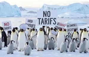 ¡LE PONEN ARANCELES A ISLA HABITADA... ¡POR PINGÜINOS!