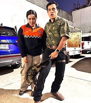 ¡RESCATAN UN PUERCOESPÍN EN LA RIVIERA!