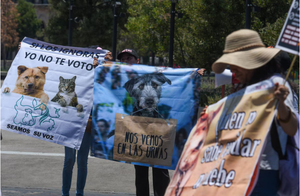¡TORTURAN A PERRITA EN COATZINTLA!