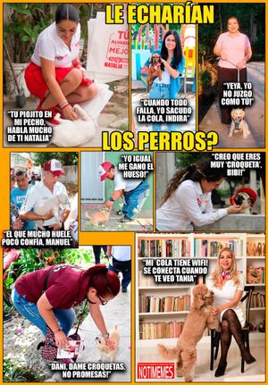NOTI-MEME | - LE ECHARÍAN LOS PERROS?