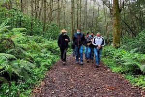 ¡CAMINOS A SUS CASOTAS!