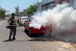 ¡YA SON 558 CASOS DE DENGUE!