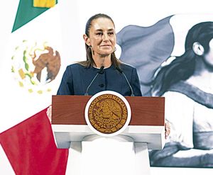 ¡QUE VOTEN! - NO QUIERE MAPACHADAS