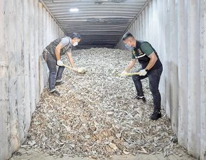 ¡INCAUTAN MÁS DE 200 TONELADAS DE BASURA ELECTRÓNICA ILEGAL DE EUA!