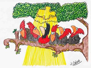 LOS CARTONES
