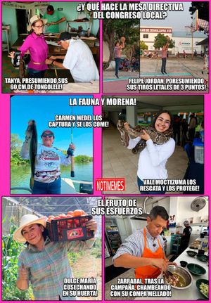 NOTI-MEME | - LA FAUNA Y MORENA!