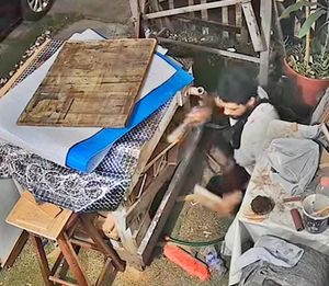 ¡ESTÁN HASTA LA CORONILLA POR RATERO QUE ROBA A SUS VECINOS!