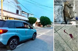 ¡LINCHAN EN REDES SOCIALES A MAESTRA POR ATROPELLAR A UNA MASCOTA!
