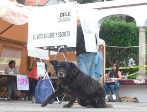 ¡70% DE ABSTENCIONISMO!