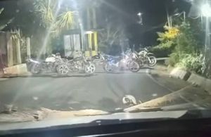 ¡SE PUSO FELLO! - AY NANITAS