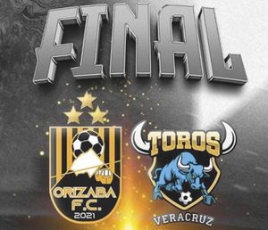 ¡SALDRÁ CAMPEÓN HOY ENTRE ORIZABA Y TOROS!