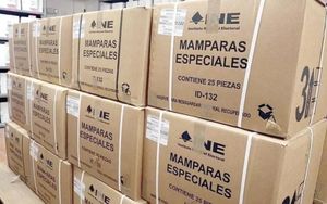 ¡TARDARÁN 10 DÍAS EN CONTAR VOTOS!