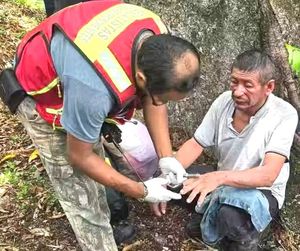 ¡SEIS CORTADORES DE CAFÉ ATACADOS POR ENJAMBRE DE ABEJAS!