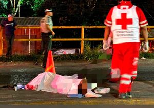 ¡AYUDANTE DE CARPINTERO MUERE ARROLLADO POR CAFRE!
