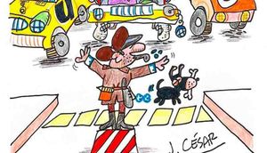 LOS CARTONES