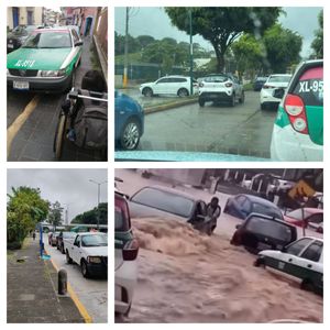 ¡XALAPA REBASA 800 MIL VISITANTES!