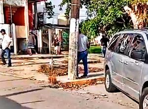 ¡ABUELITO MUERE AL CAER DE ÁRBOL QUE PODABA!