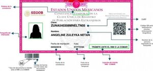 ¡YA HAY INTERNET PARA LA SACAR CURP BIOMÉTRICA!