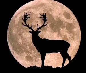 ¡LUNA DE CIERVO Y LLUVIAS DE METEOROS!