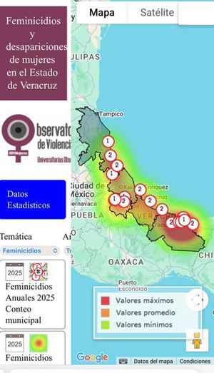 ¡CRECE LA ALARMA! - *30 feminicidios, 411 desapariciones y 82 agresiones contra la mujer, hasta junio 2025