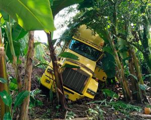 ¡‘MONSTRUO’ SIN FRENOS SALIÓ ‘VOLANDO’ DE LA CARRETERA!
